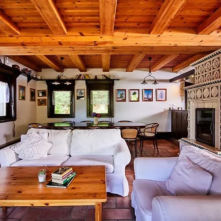 Szalamandra - Az Erdoszele Villa Matraalmas