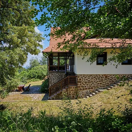 Villa Szalamandra - Az Erdoszele *