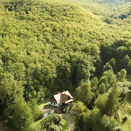 Villa Szalamandra - Az Erdoszele *