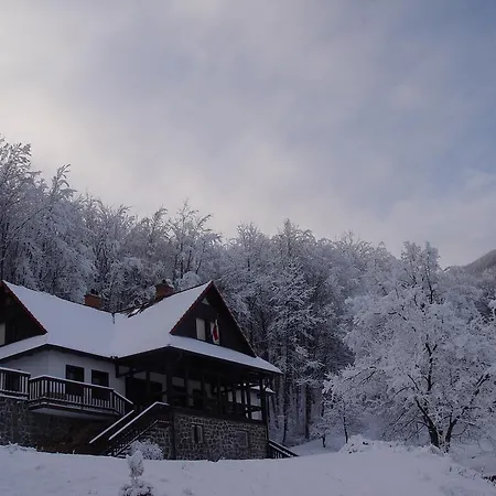 Villa Szalamandra - Az Erdoszele *