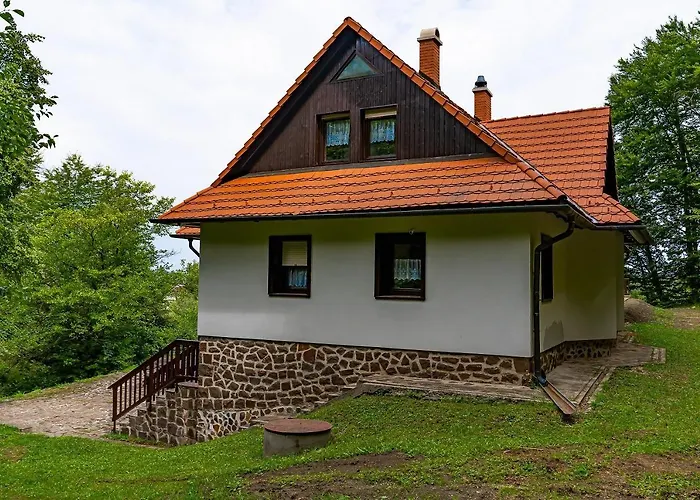 Vilă Szalamandra - Az Erdoszele